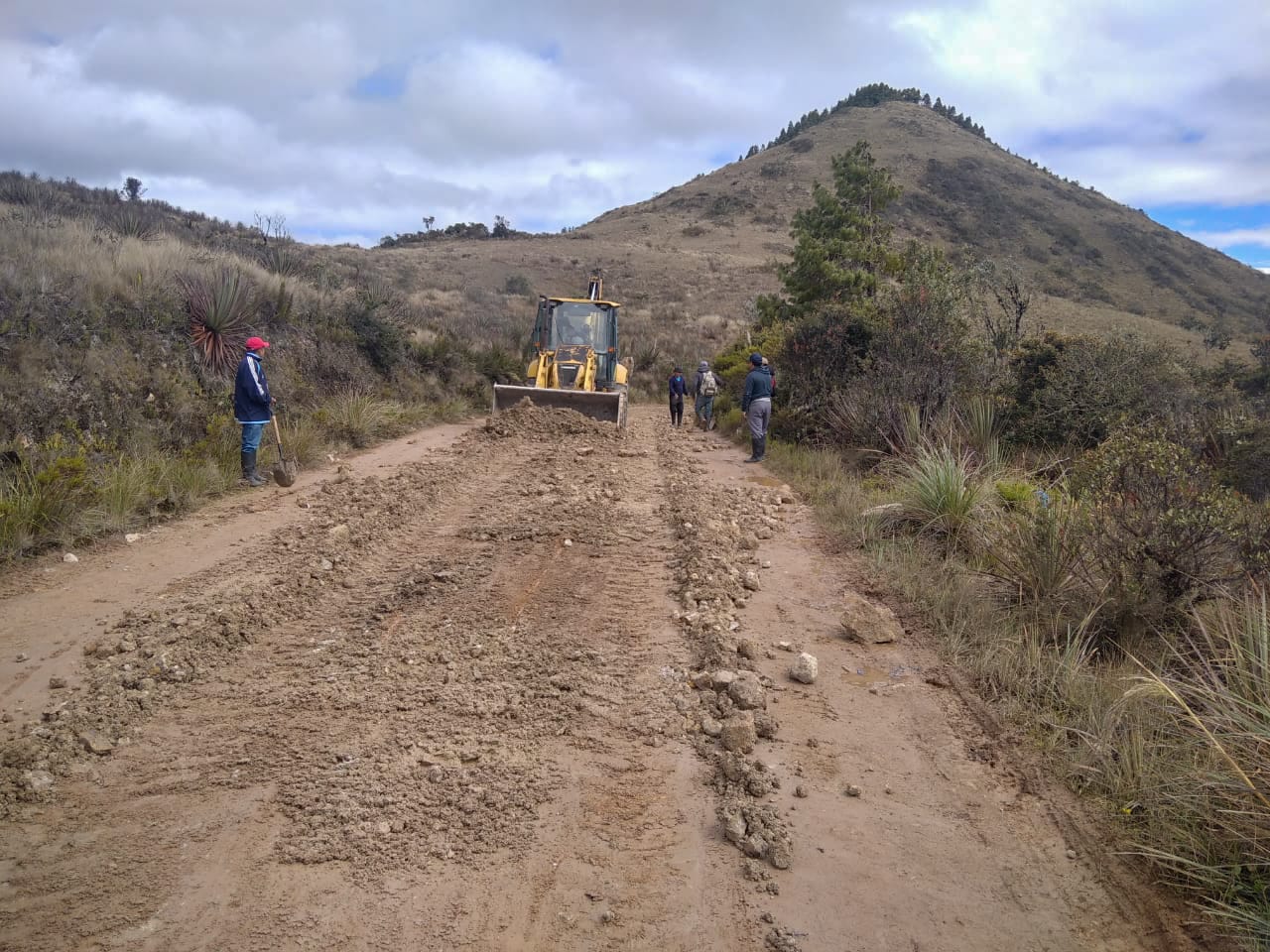 ALREDEDOR DE 2.886 HABITANTES SE BENEFICIAN DEL MANTENIMIENTO VIAL EN JIMA