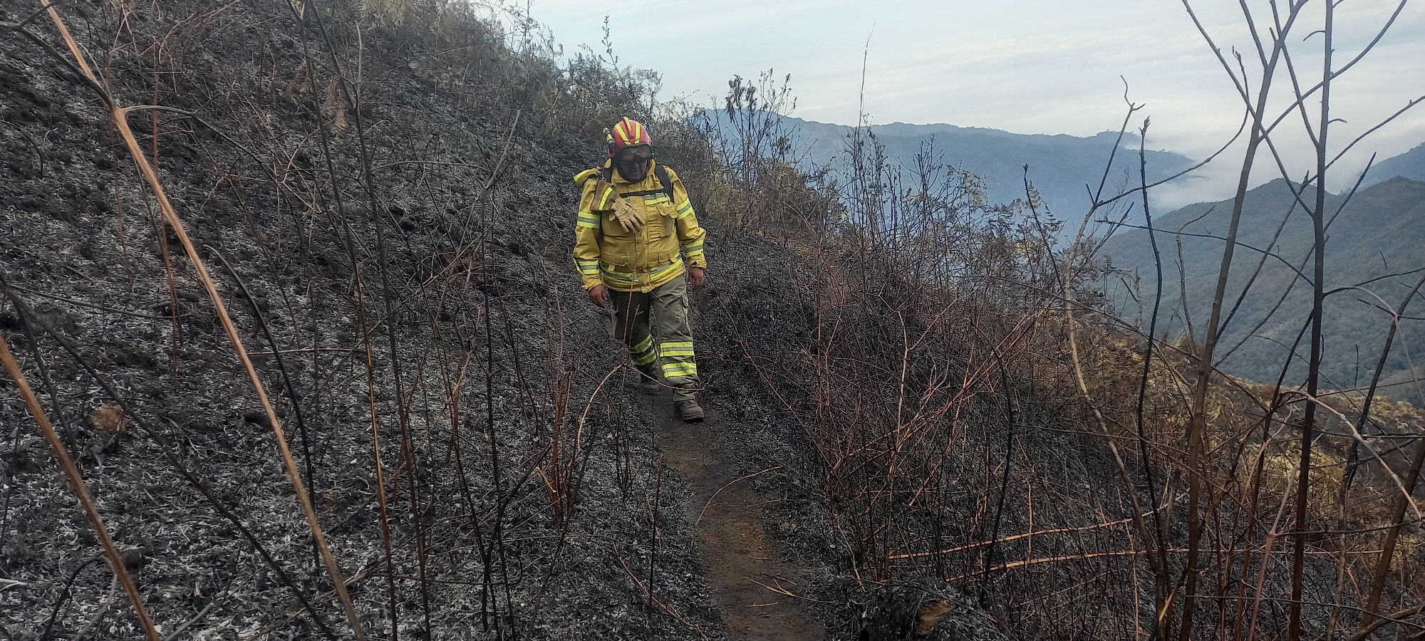 El Gobierno Provincial del Azuay apoyó con personal calificado para atender el  incendio forestal ocasionado en Molleturo