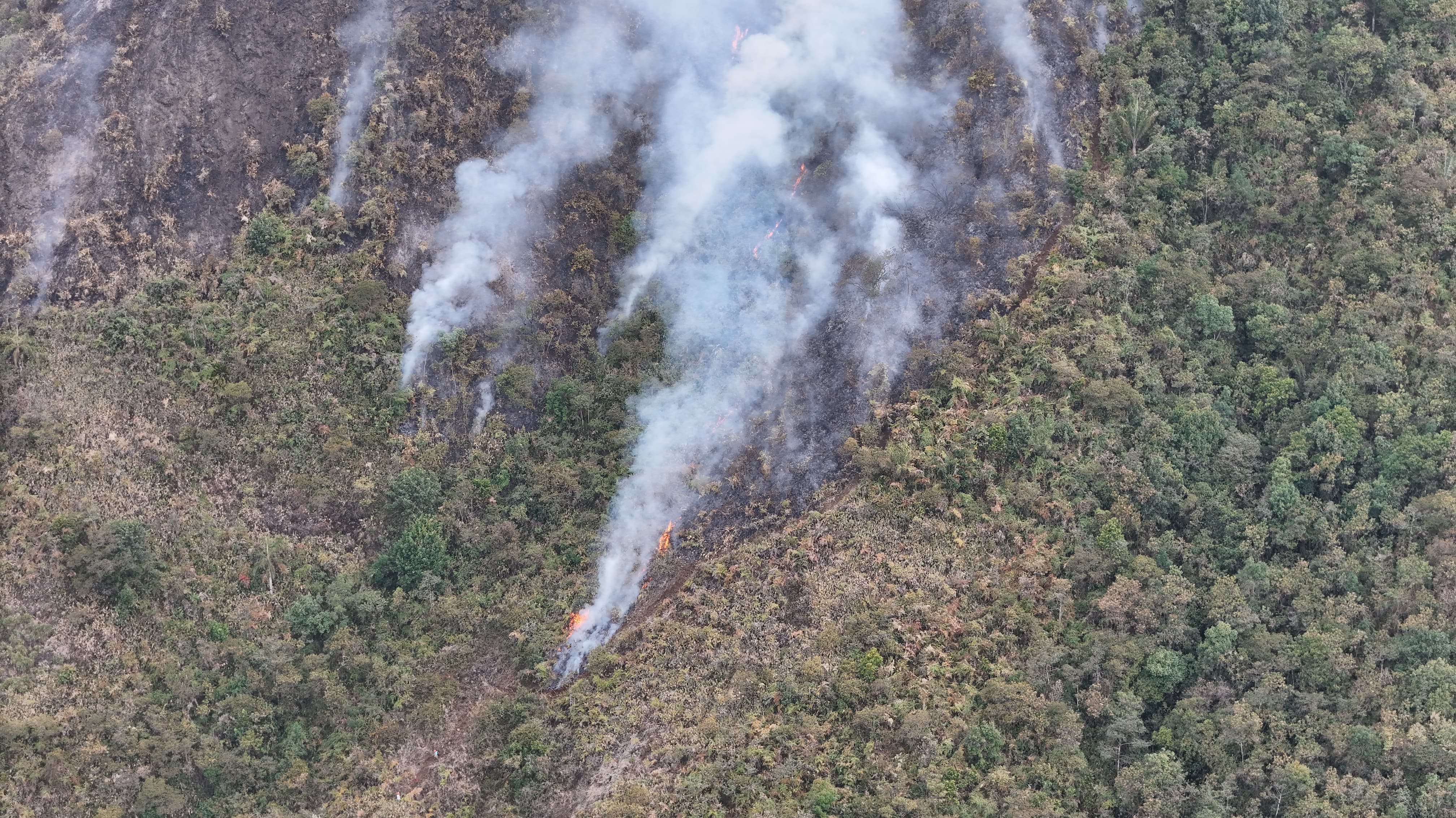 Prefectura de Azuay coordina acciones para el combate de incendios forestales en Arquillo – Molleturo